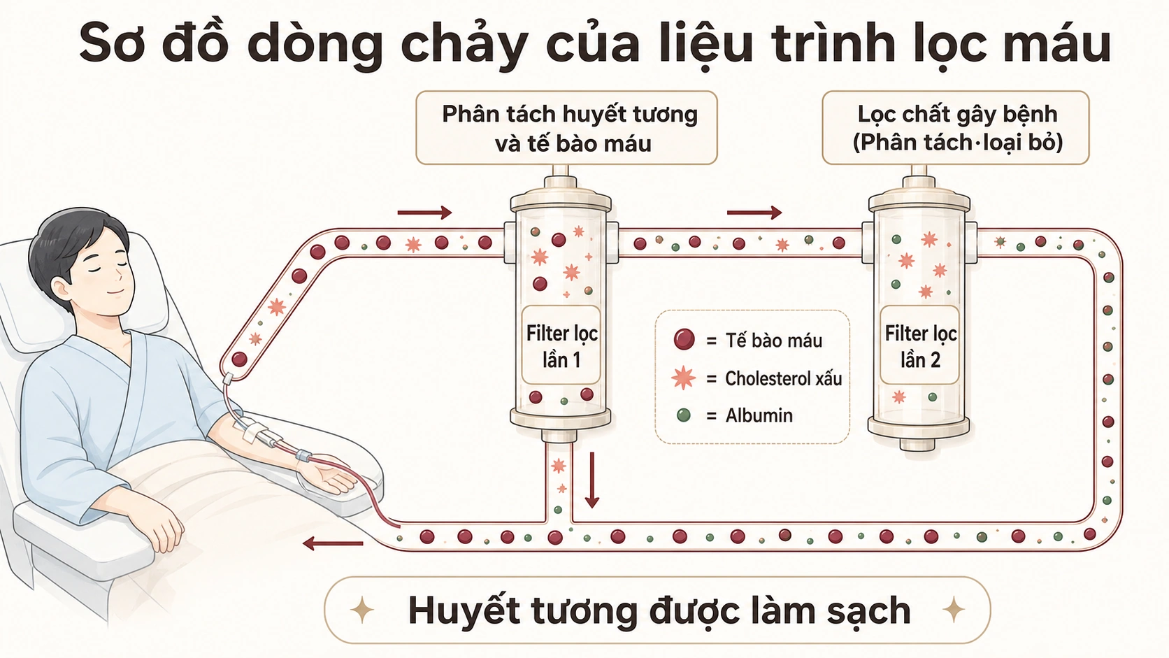 Sơ đồ minh họa dòng chảy của liệu trình lọc máu tại Ever